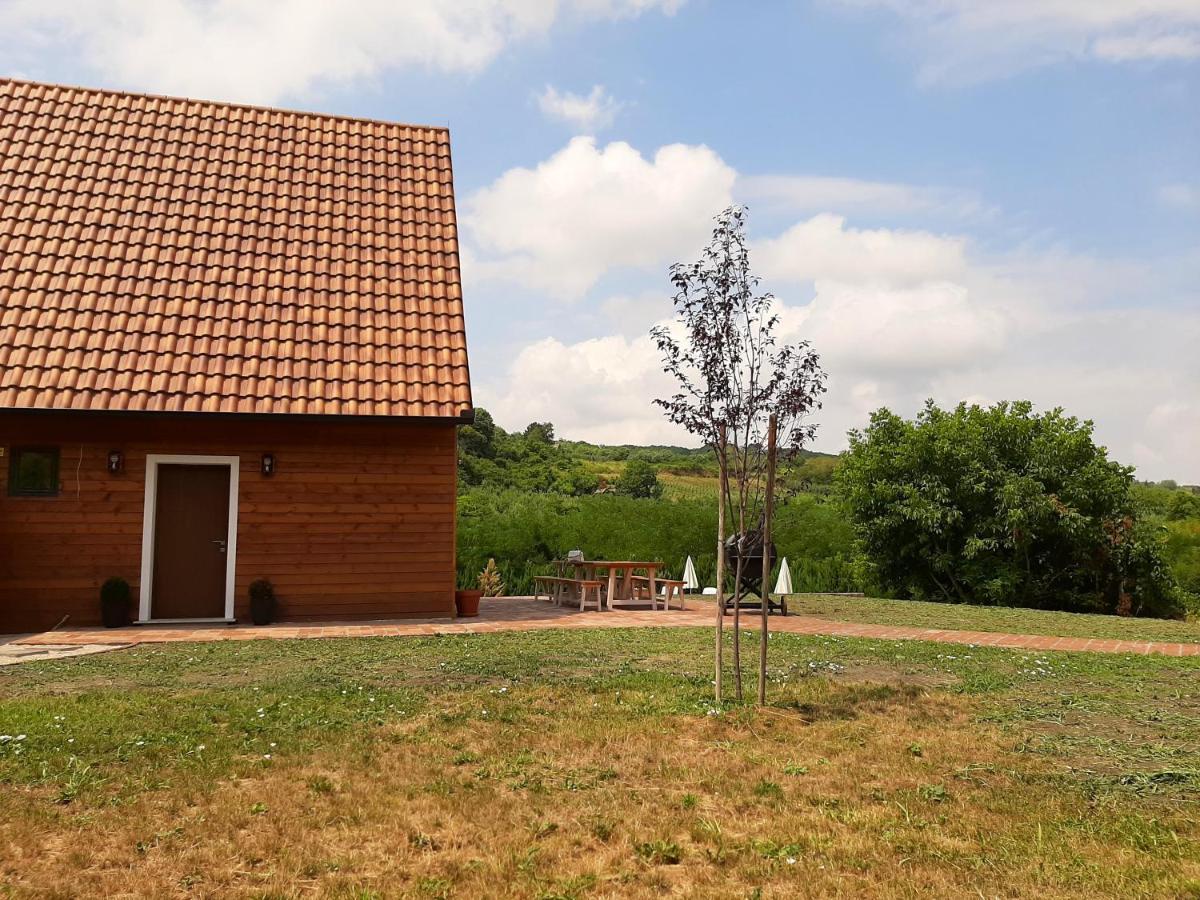 Villa Fruska à Sremski Karlovci Extérieur photo