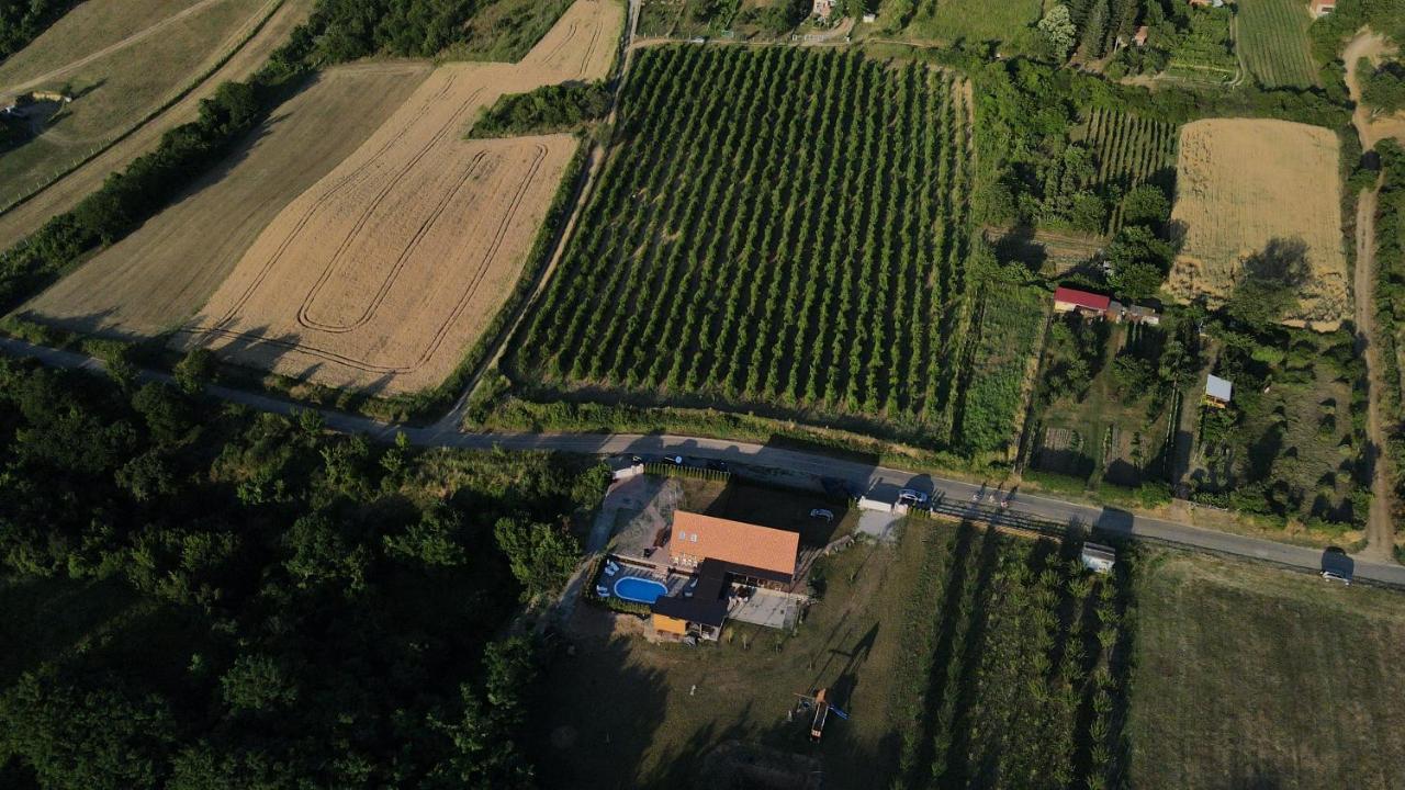 Villa Fruska à Sremski Karlovci Extérieur photo